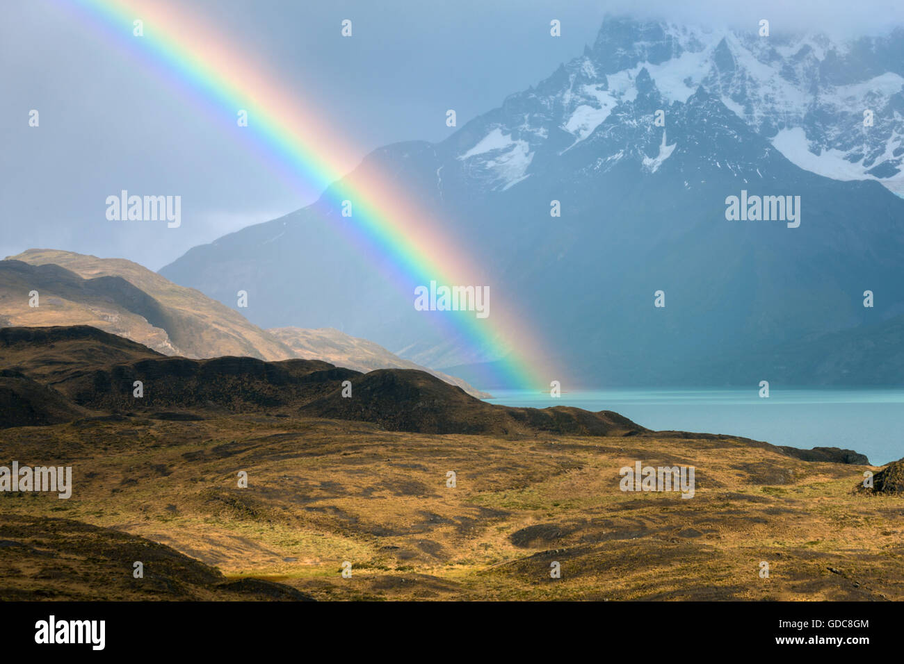 El lago Nordenskjöld,Chile,Patagonia Foto de stock