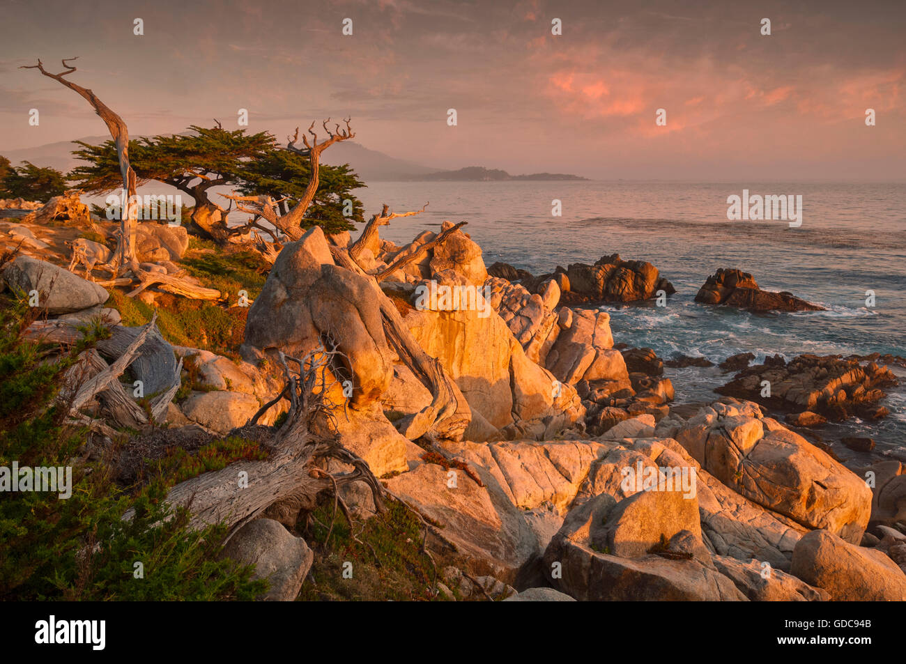 Estados Unidos,California,Costa,Monterey Peninsula,Carmelo,Monterey,,paisaje costero Foto de stock