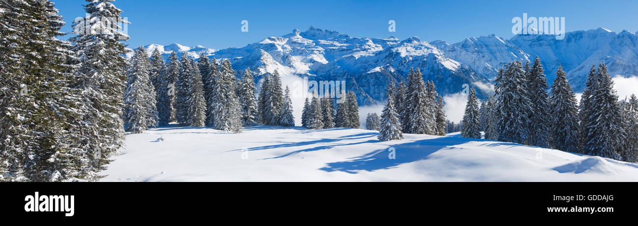 Freiberge,Kärpf,Glaris Alpes,Suiza Foto de stock