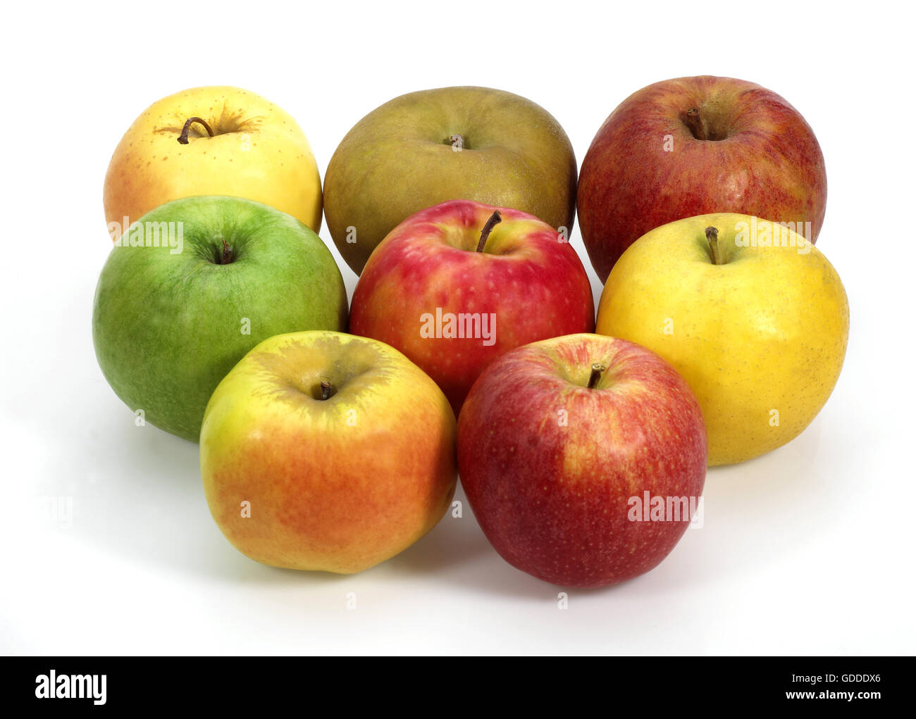 Manzanas, Calville, Canadá, Golden, Granny Smith, Pink Lady, Royal Gala, Starling, Malus domestica Foto de stock