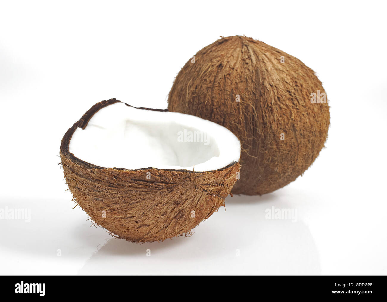 Coco Cocos nucifera, frutas contra el fondo blanco. Foto de stock