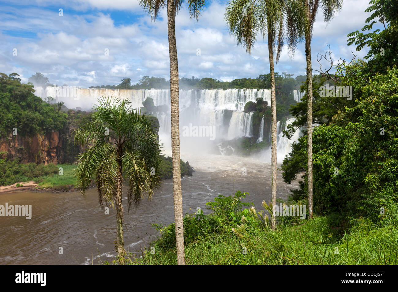 Las Cataratas del Iguazú, Argentina Foto de stock