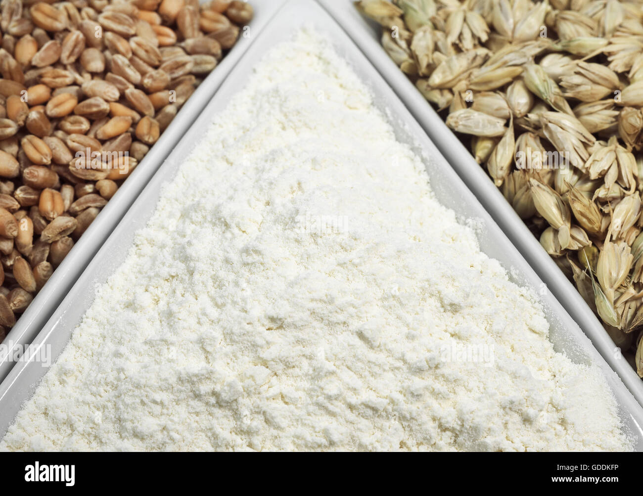 La harina de trigo y granos Foto de stock