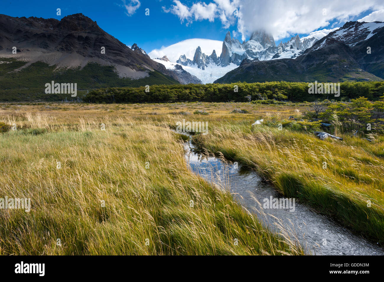 Cerro Fitz Roy,Argentina,Patagonia Foto de stock