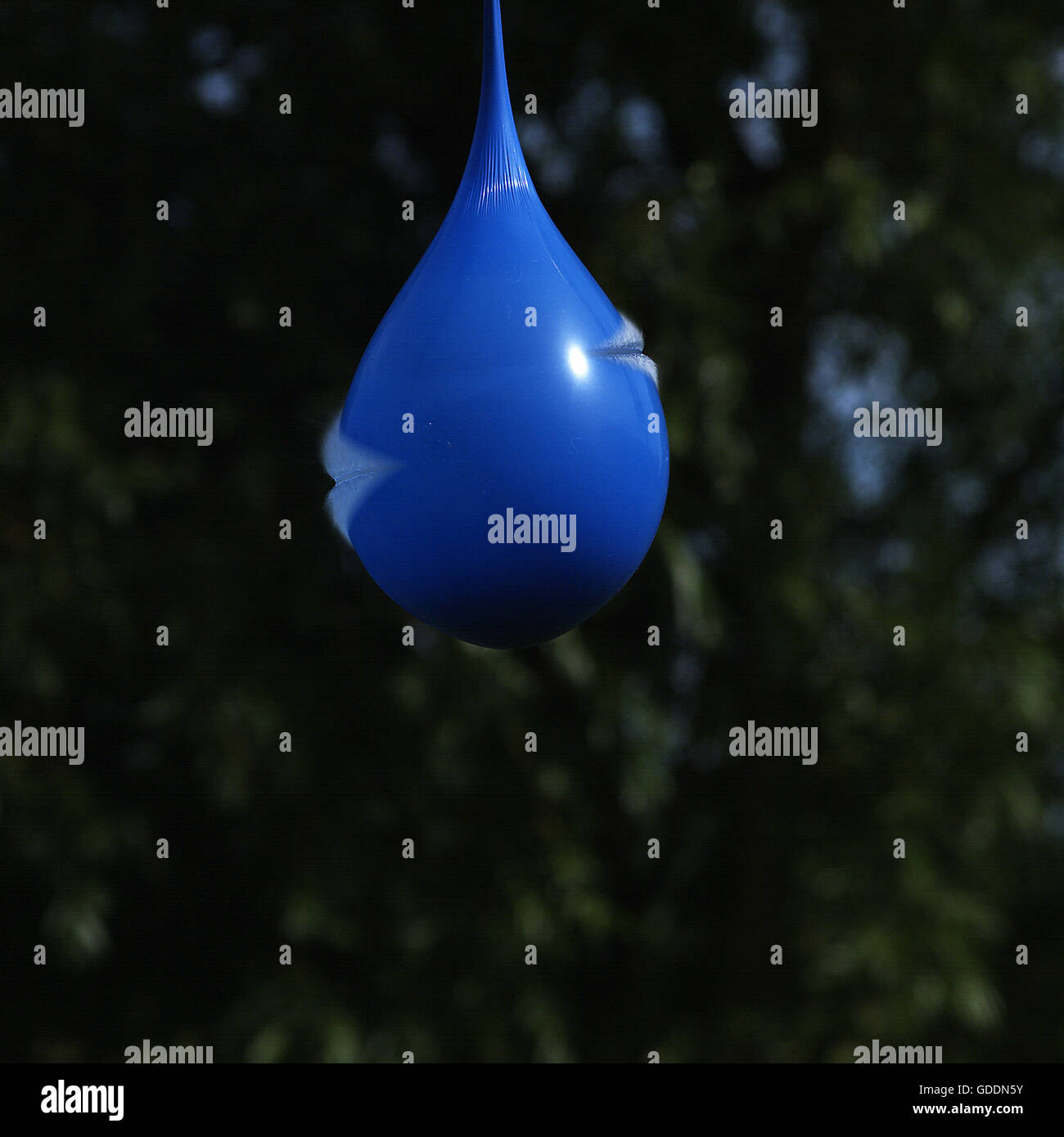 Explosing globo azul con agua adentro, secuencias de movimiento Foto de stock