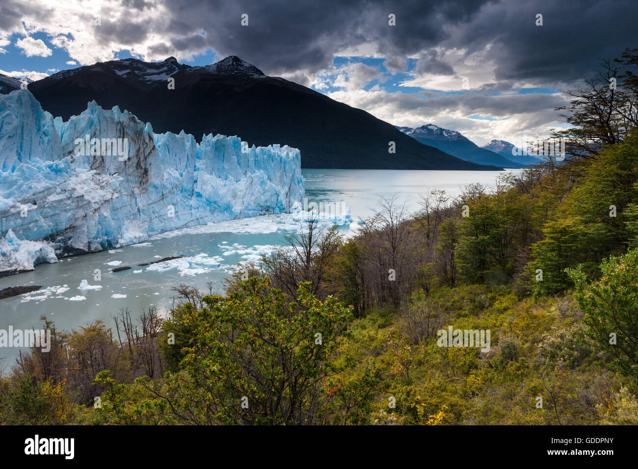 El Glaciar Perito Moreno, Patagonia, Argentina, Foto de stock