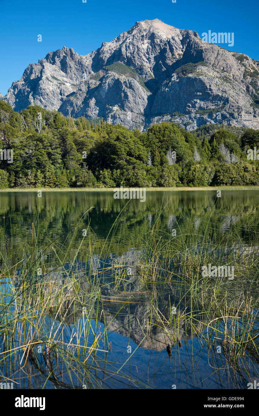 América del Sur, Argentina, Patagonia,Río Negro,Bariloche,,Parque Nacional Nahuel Huapi Foto de stock