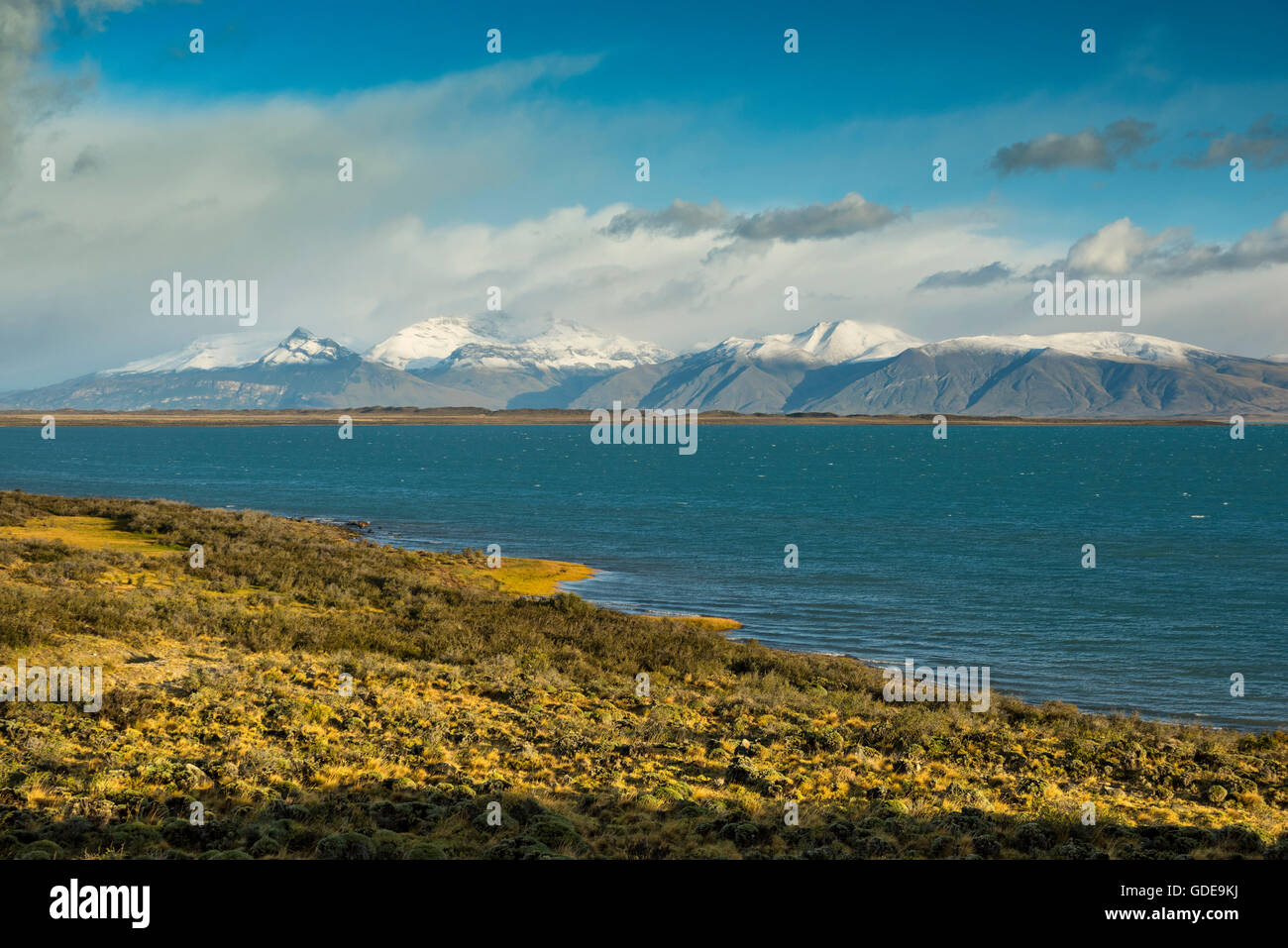 América del Sur, Argentina, Patagonia,Santa Cruz,Puerta Bandera,el Lago Argentino. Foto de stock