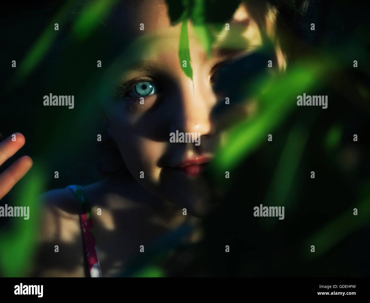 Retrato de una chica que se esconde detrás de la planta Foto de stock