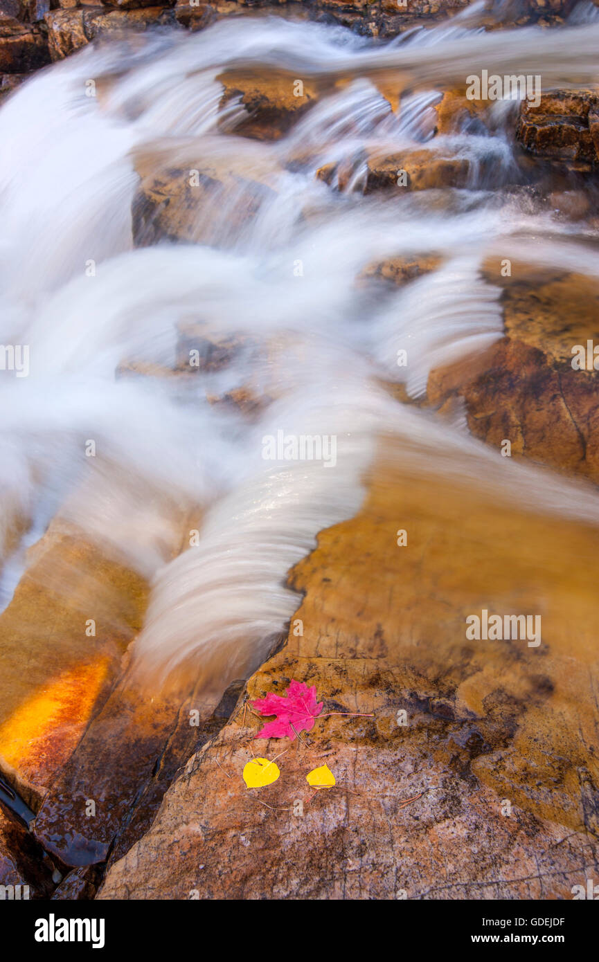 La parte superior del río Provo, Utah con colores de otoño. Foto de stock