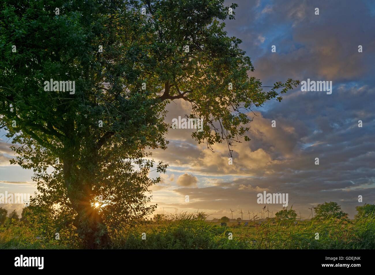 Ocaso sobre el paisaje rural con turbinas de viento en la distancia, Baja Sajonia, Alemania Foto de stock