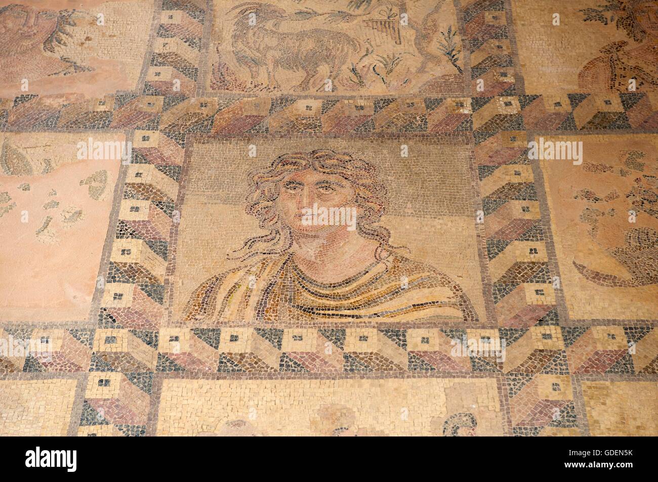 Mosaicos, excavaciones, en Paphos, Chipre Rebublic Foto de stock