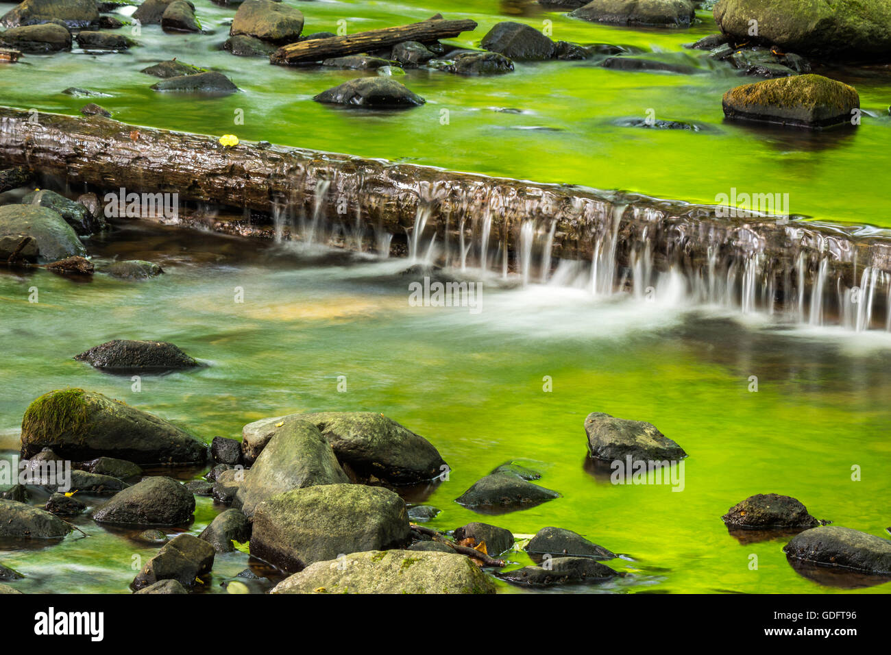 Pequeña cascada hecha de árbol caído en el pequeño arroyo limpio con piedras en verde bosque Foto de stock