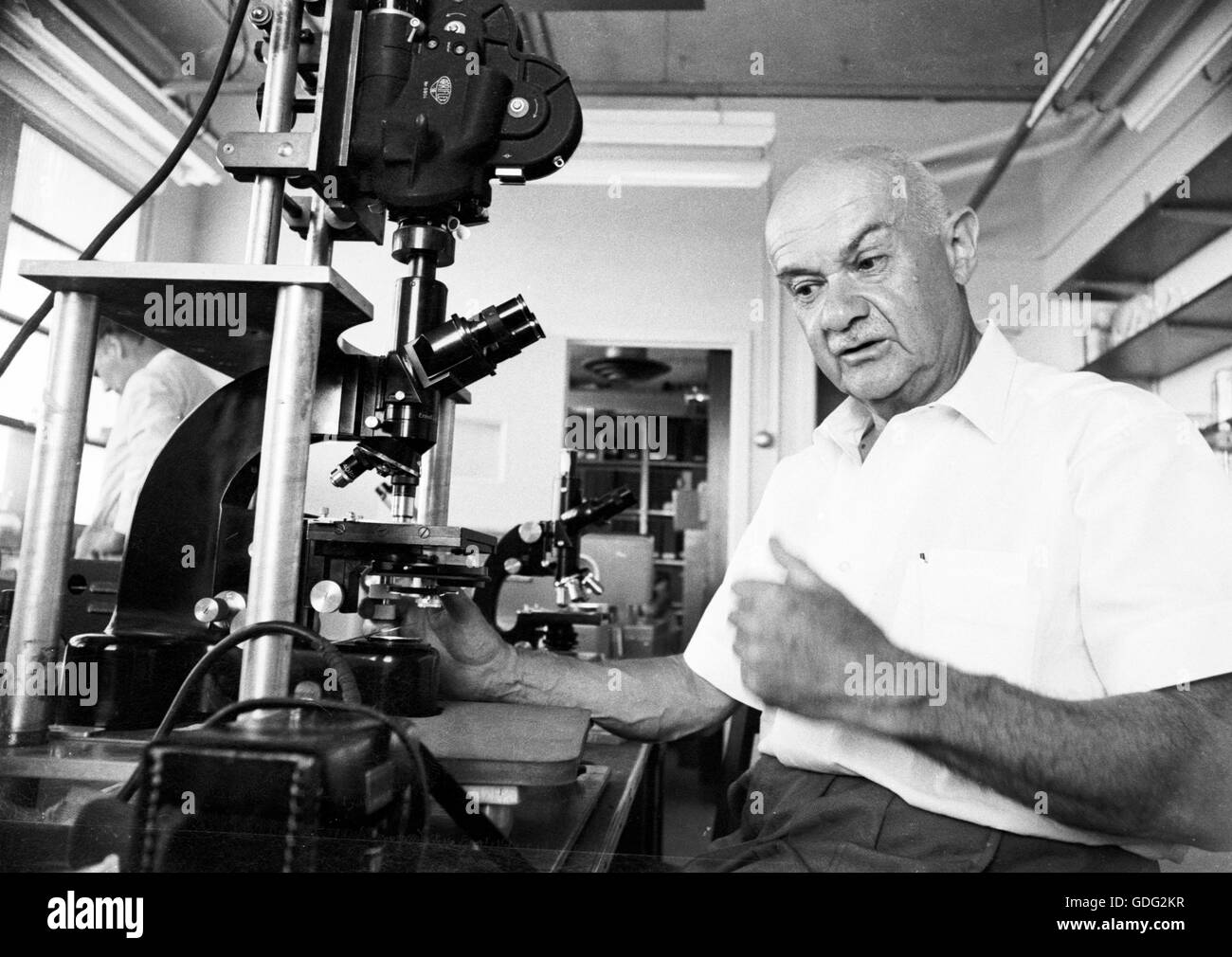 Roman Vishniac trabajando en su laboratorio, 1961 Foto de stock