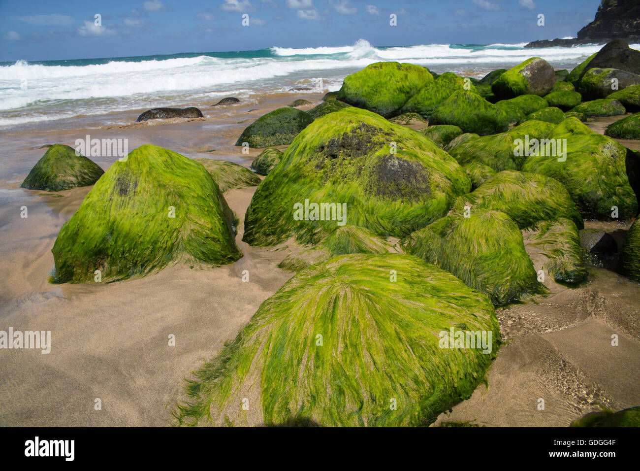 Kauai Beach,bien,Hanakapiai Pali,Mar,Costa,algas,piedras,de Kauai, Hawaii, EEUU,América, Foto de stock