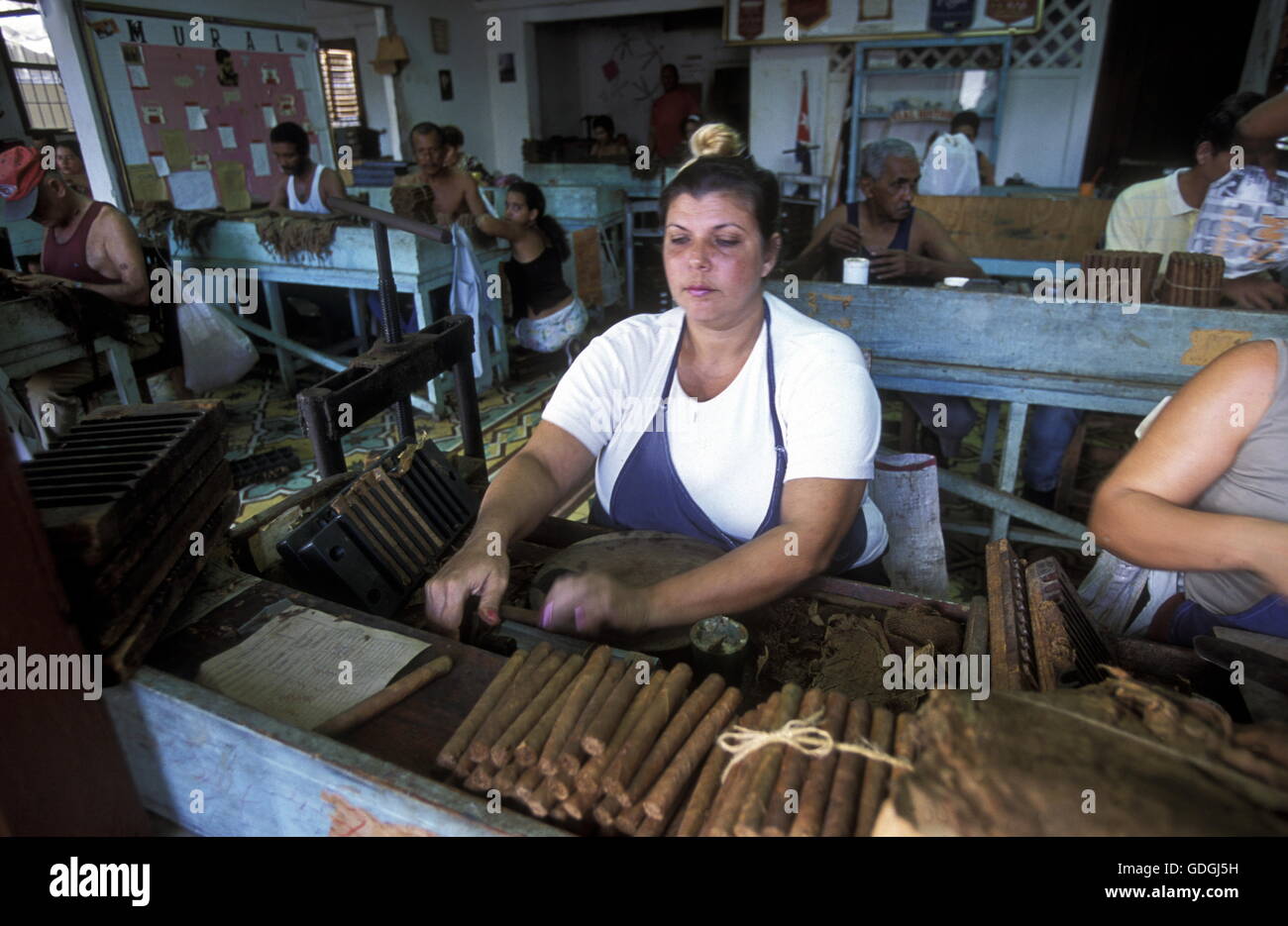 Una fábrica de puros en la aldea de Baracoa en Cuba en el mar Caribe. Foto de stock