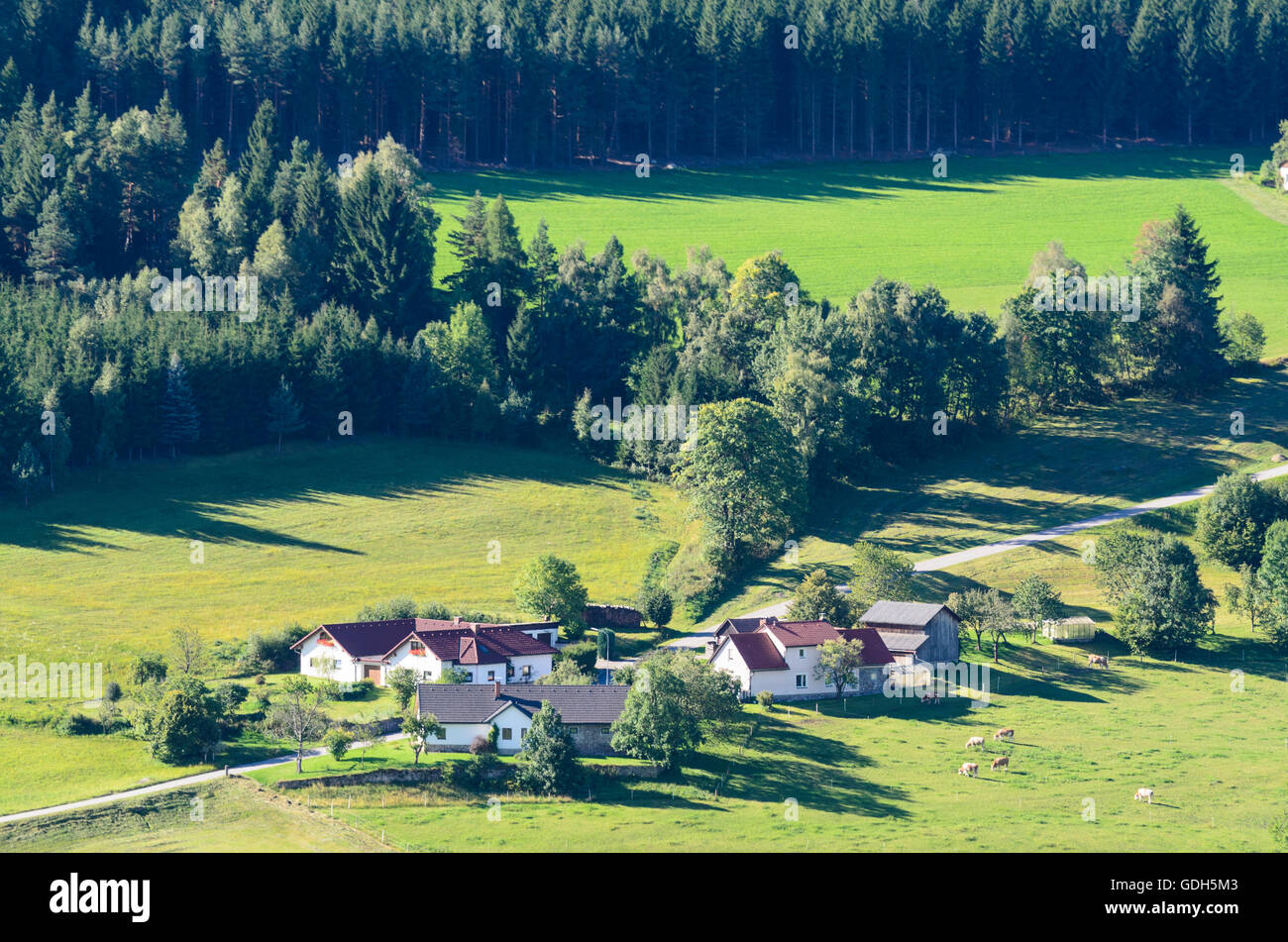 Mala Großpertholz: Vista desde la torre de observación en el Parque Natural de Schwarzenberg en am Freiwald Nordwald en Reichenau, Austria Foto de stock