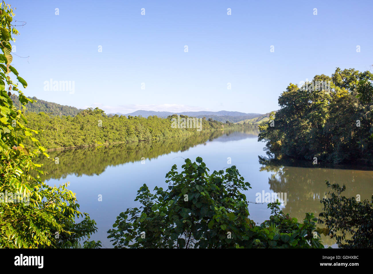 El Daintree River, cerca de la localidad de Daintree en far nth, Queensland, Australia Foto de stock