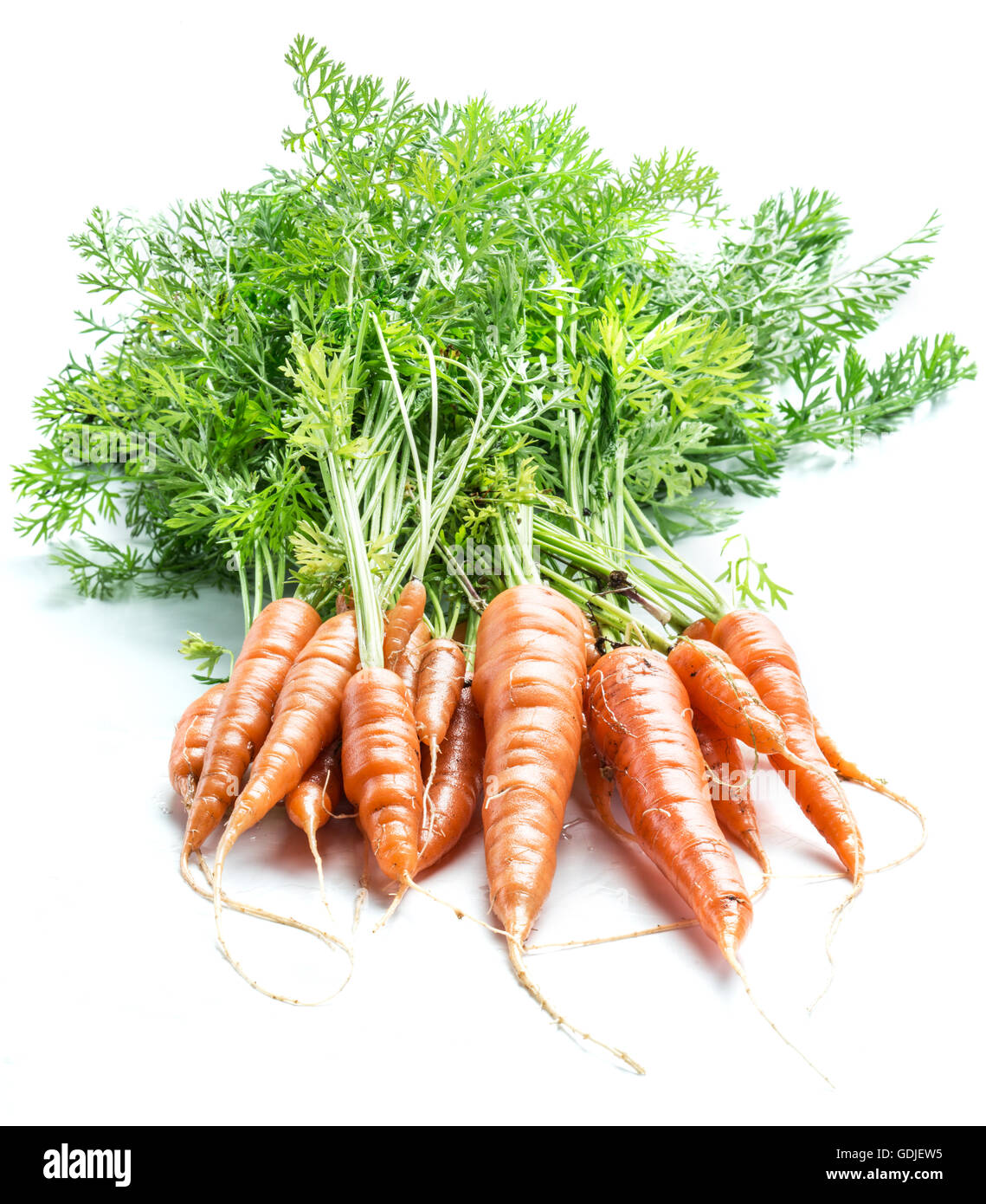 Las zanahorias con verdes sobre fondo blanco. Foto de stock