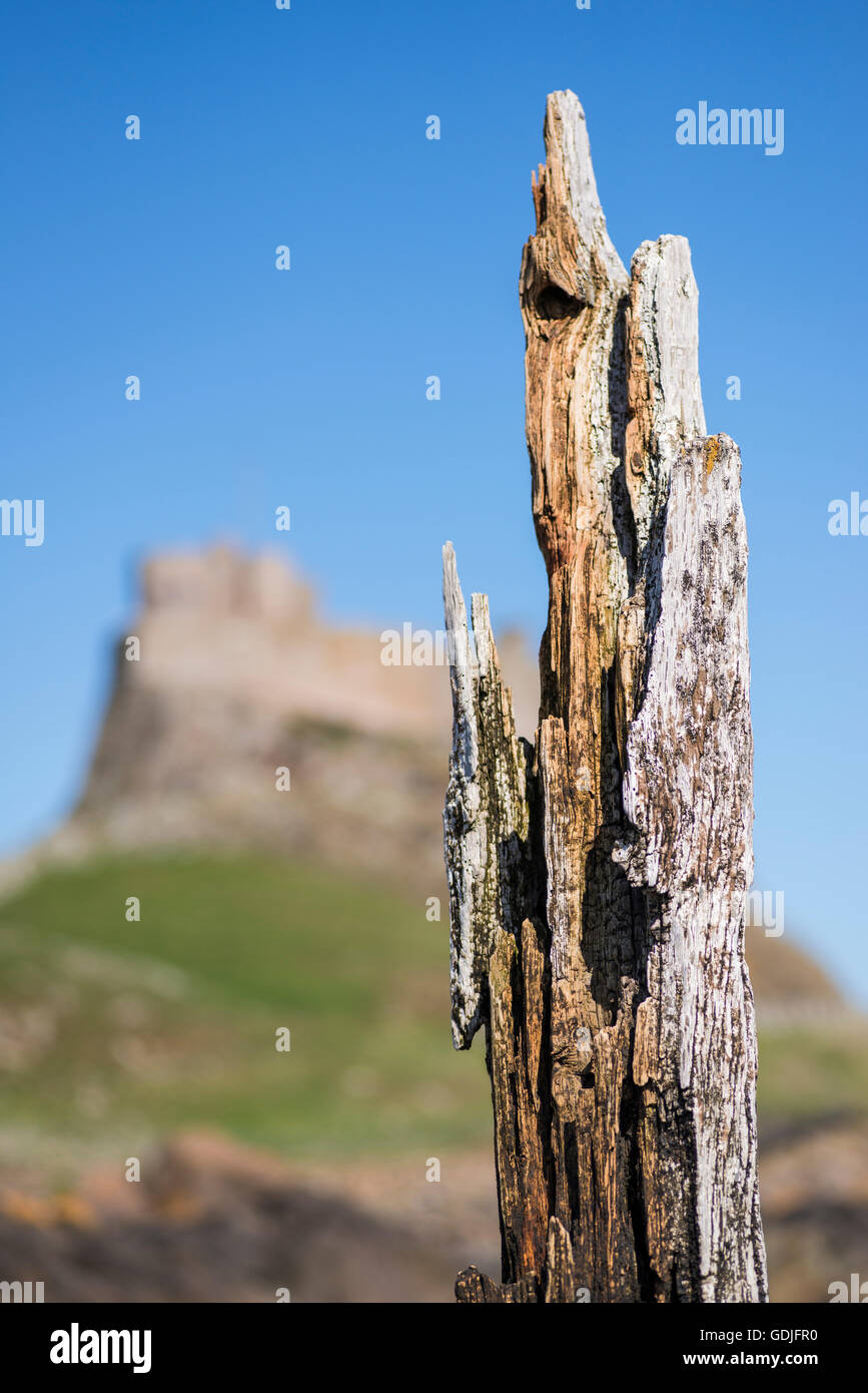 Una sola staithe - los restos de un embarcadero - cerca de Lindisfarne Castle, Holy Island, Northumberland, Inglaterra Foto de stock