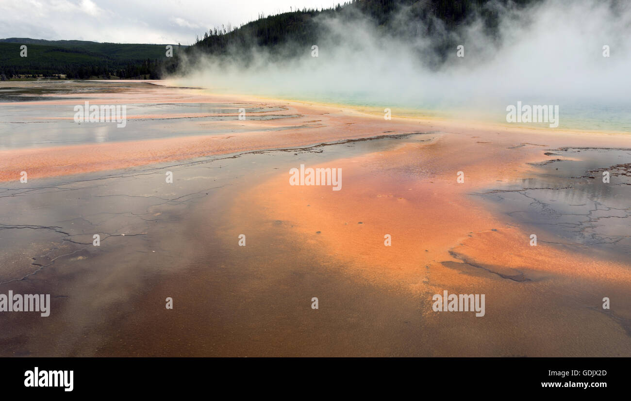 El color saturado aparece como el fluido hace su camino hacia abajo desde el Grand Prismatic Spring Foto de stock