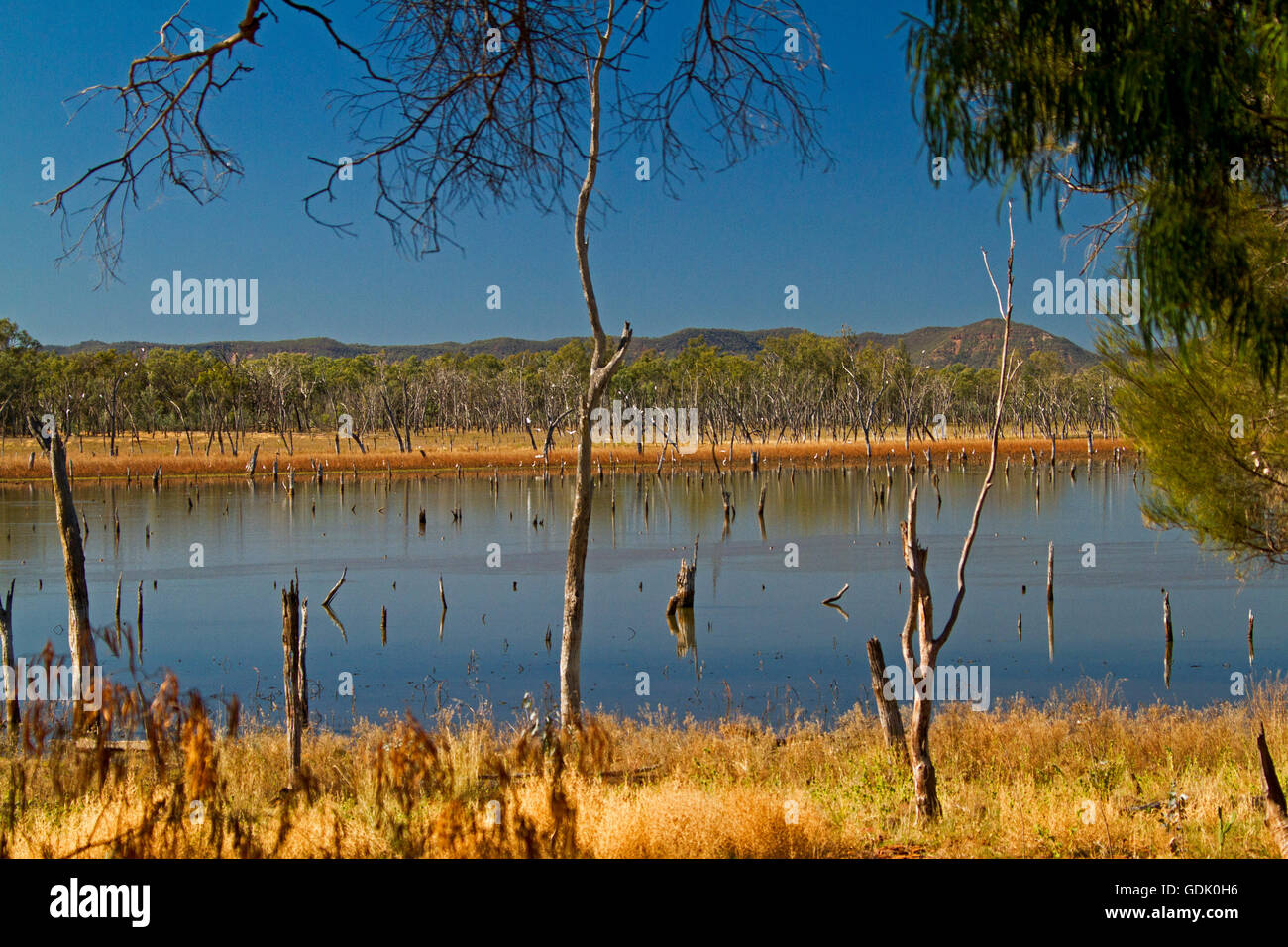 Gran tranquilas aguas azules del lago Nuga Nuga con rangos de Carnarvon resistente en el horizonte bajo un cielo azul en el outback Qld Australia Foto de stock
