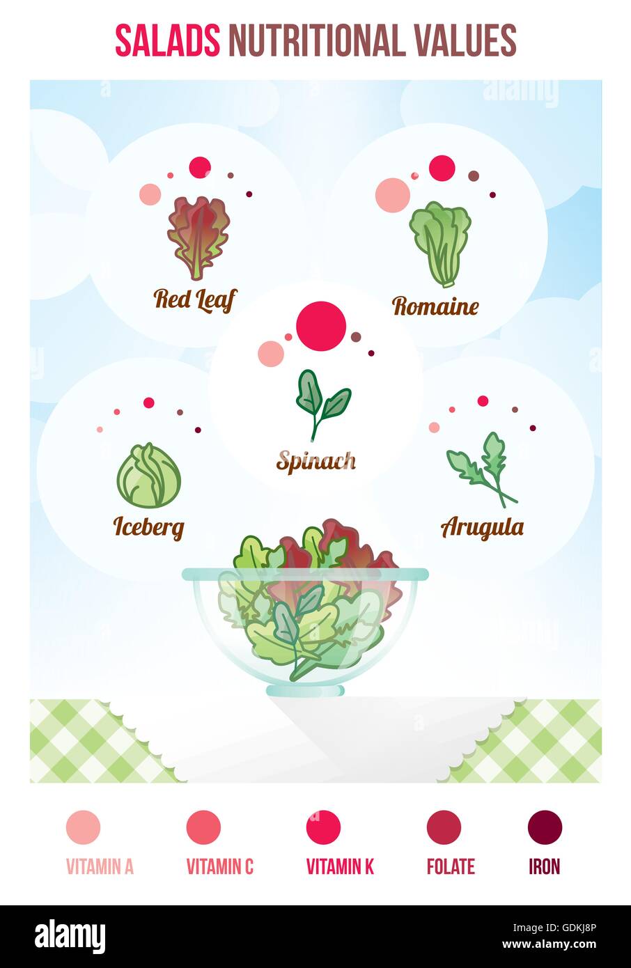 Ensaladas con valores nutricionales infográfico, variedades de ensaladas y recipiente lleno Ilustración del Vector