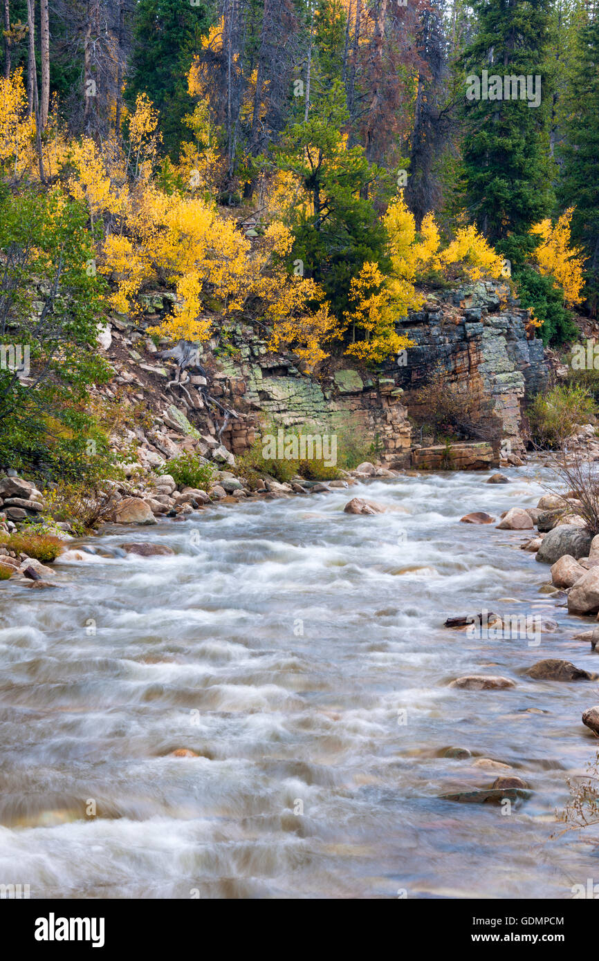 Provo Río Uinta en las montañas de Utah con colores de otoño. Foto de stock