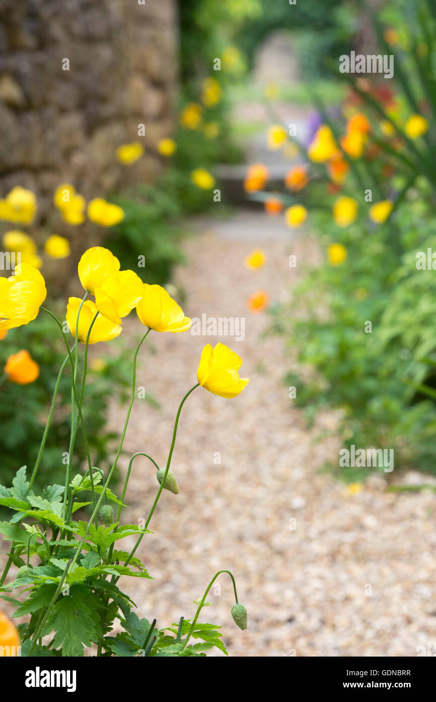 Flores a lo largo de un camino de jardin fotografías e imágenes de alta  resolución - Alamy