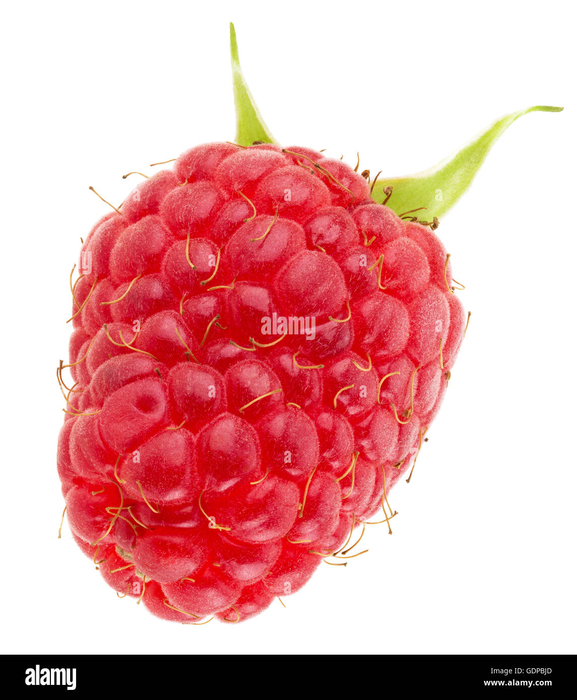 Raspberry aislado en el fondo blanco. Foto de stock