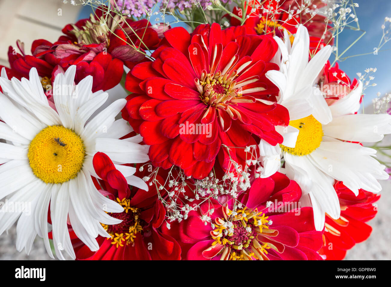 Primer plano de un ramo de flores. Foto de stock