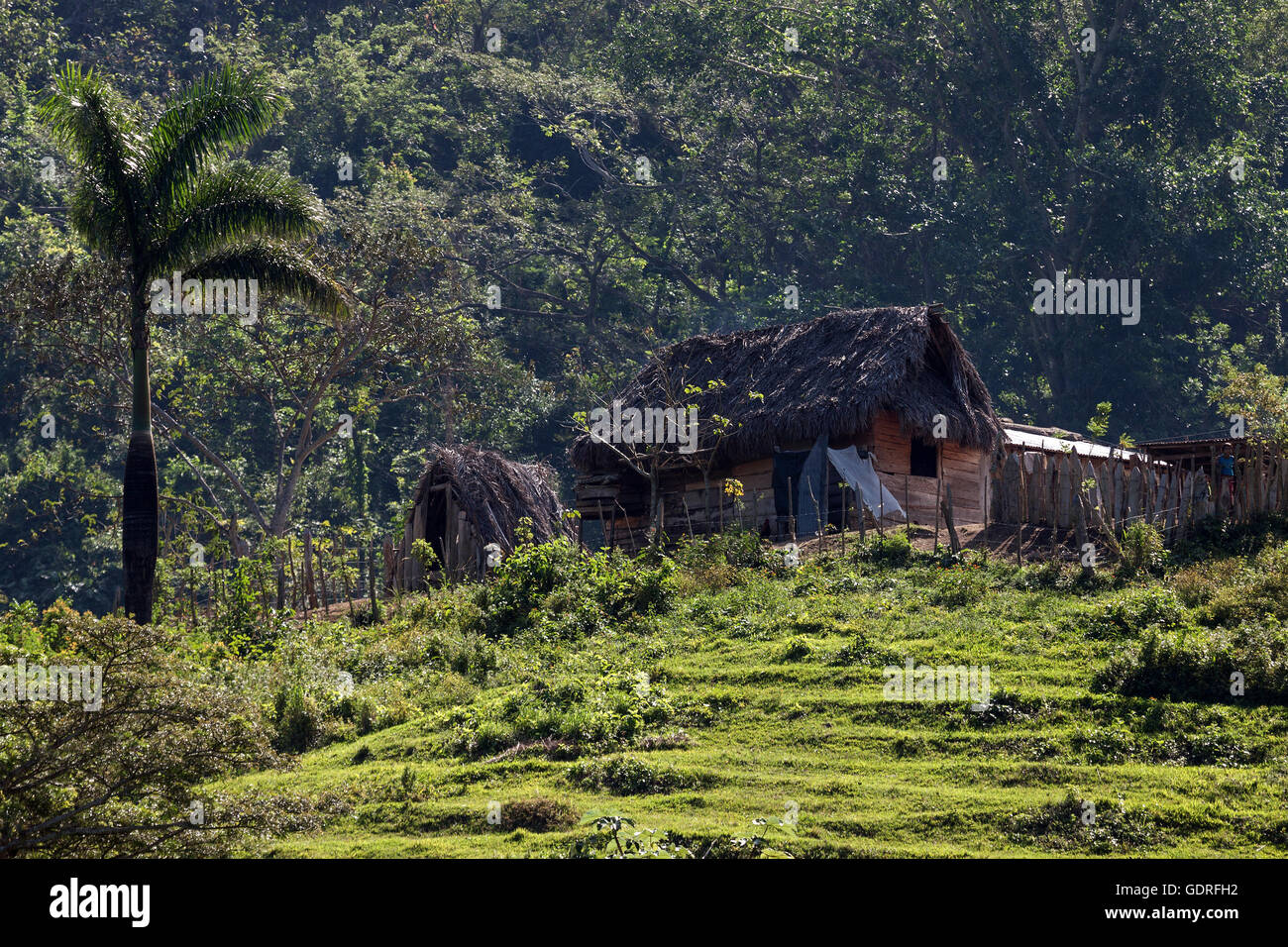 Farm cottage, Cruce de los Baños, Sierra Maestra, Santigo de Cuba, Cuba Foto de stock