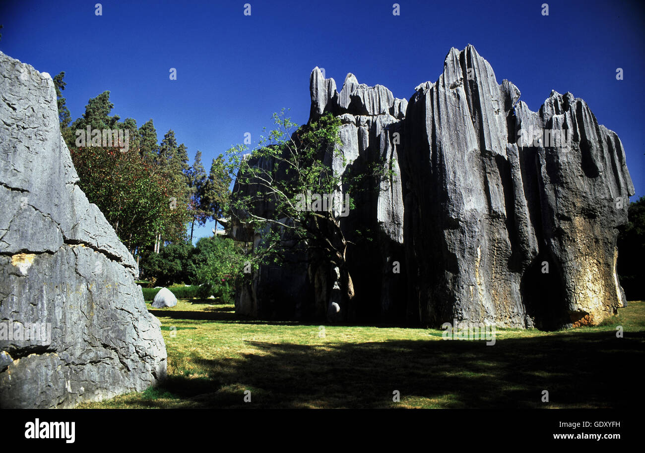 El bosque de piedras de Lunan es autónoma de la nacionalidad Yi County en Yunnan, China. Foto de stock