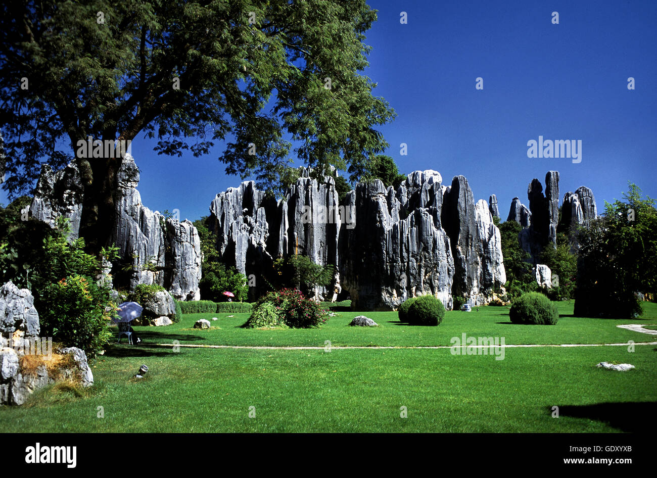 El bosque de piedras de Lunan es autónoma de la nacionalidad Yi County en Yunnan, China. Foto de stock