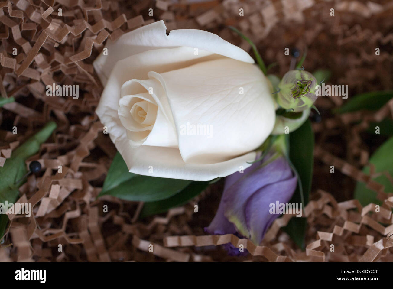 Una flor está esperando a que se ponga en un invitado de boda Foto de stock