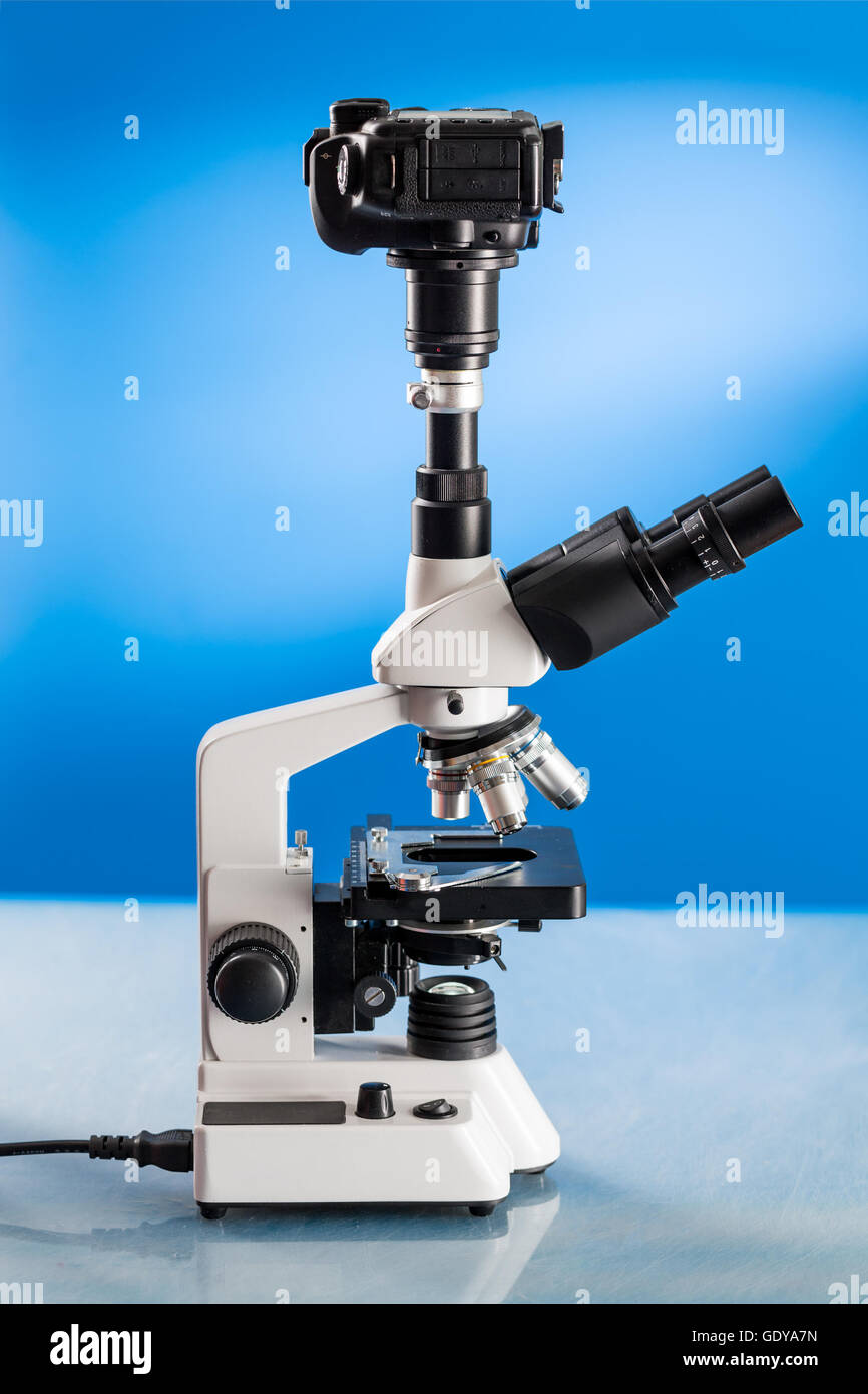 Microscopio trinocular con cámara de fotos DSLR conectado Foto de stock