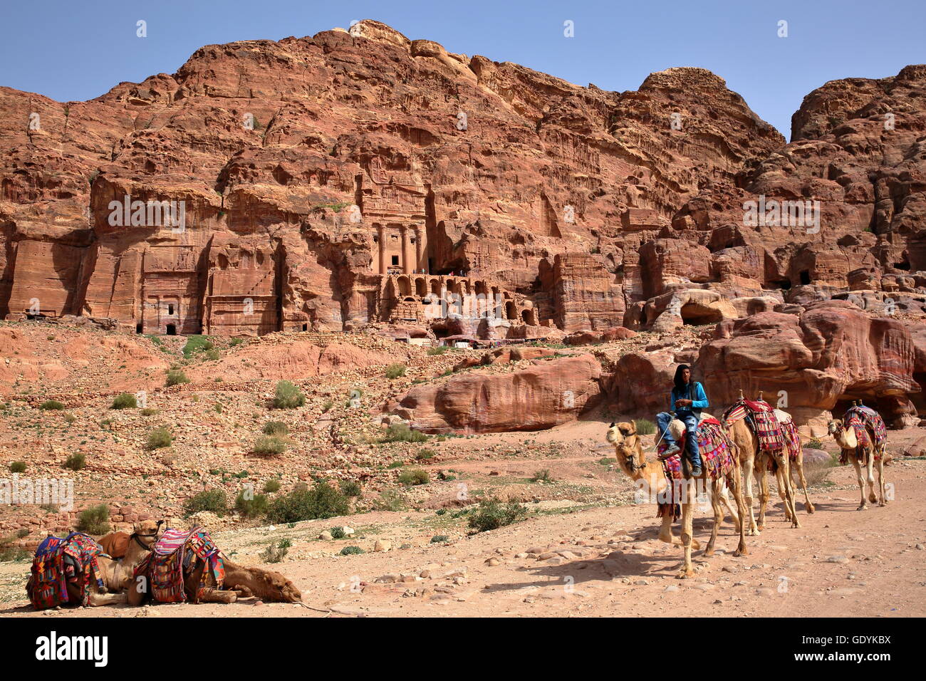 Un hombre beduino montando sus camellos con las Tumbas Reales en el fondo, Petra, Jordania Foto de stock