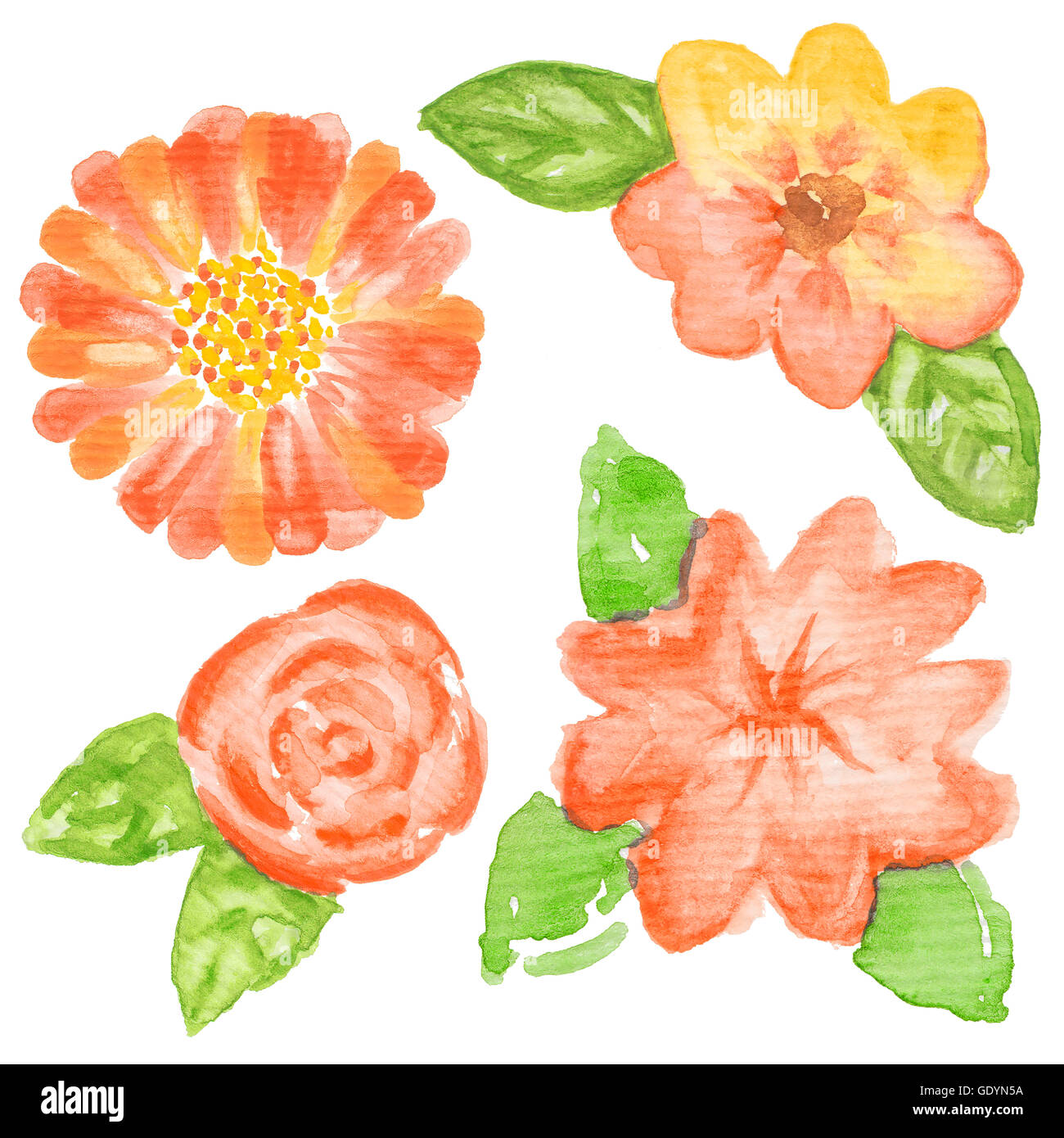 Flores acuarela pintada a mano. Elementos de diseño gráfico para baby shower y invitaciones de boda, tarjetas de cumpleaños, iden corporativo Fotografía de stock - Alamy Flores acuarela pintada a mano. Elementos de diseño gráfico para baby shower y invitaciones de boda, tarjetas de cumpleaños, iden corporativo Fotografía de stock - Alamy