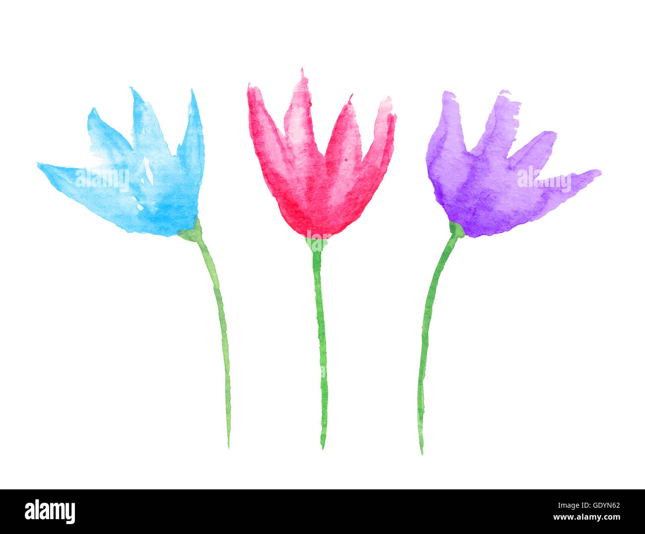 Flores Acuarela Pintada A Mano Elementos De Diseno Grafico Para