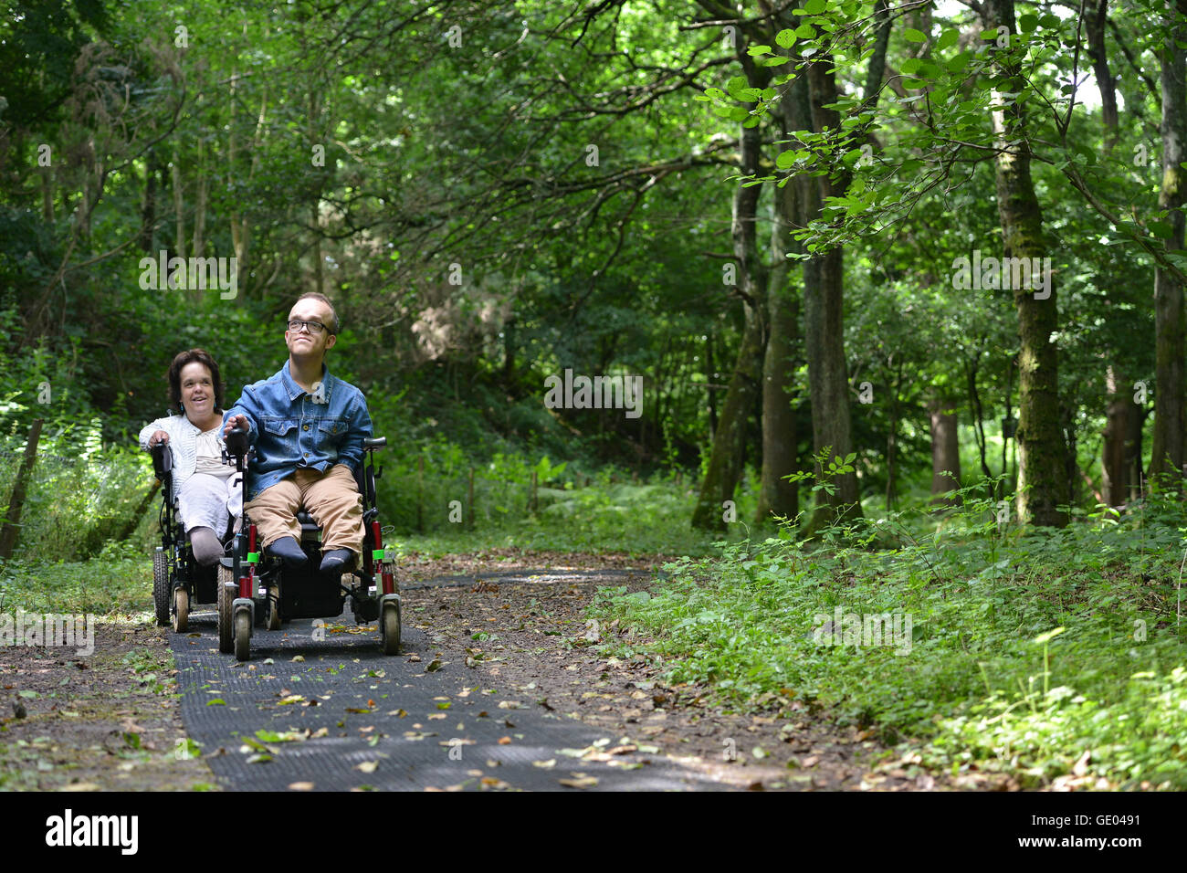 Los usuarios de sillas de ruedas, disfrutando de un bosque sendero, Sussex Foto de stock