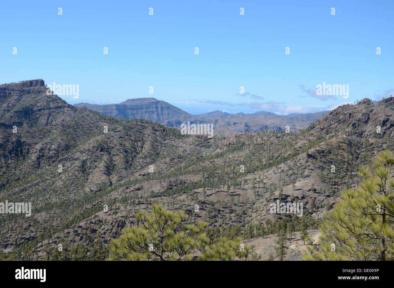Panorama de montaña, Gran Canaria, cielo azul, árboles, senderismo, Bosque, Vistas panorámicas, pinos, colinas Foto de stock