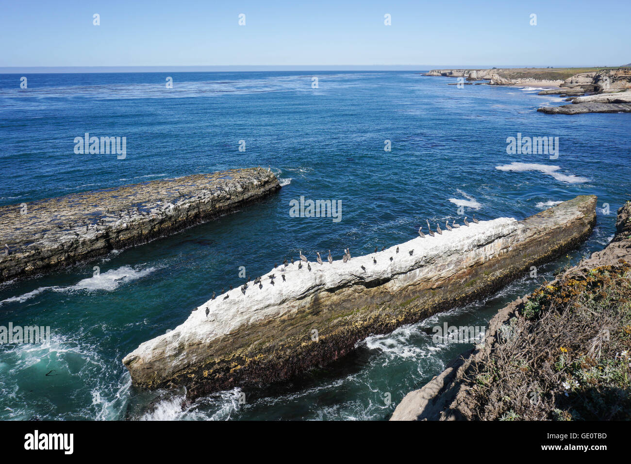 Pelícanos y cormoranes descansando sobre una roca, la costa del Océano Pacífico, California Foto de stock