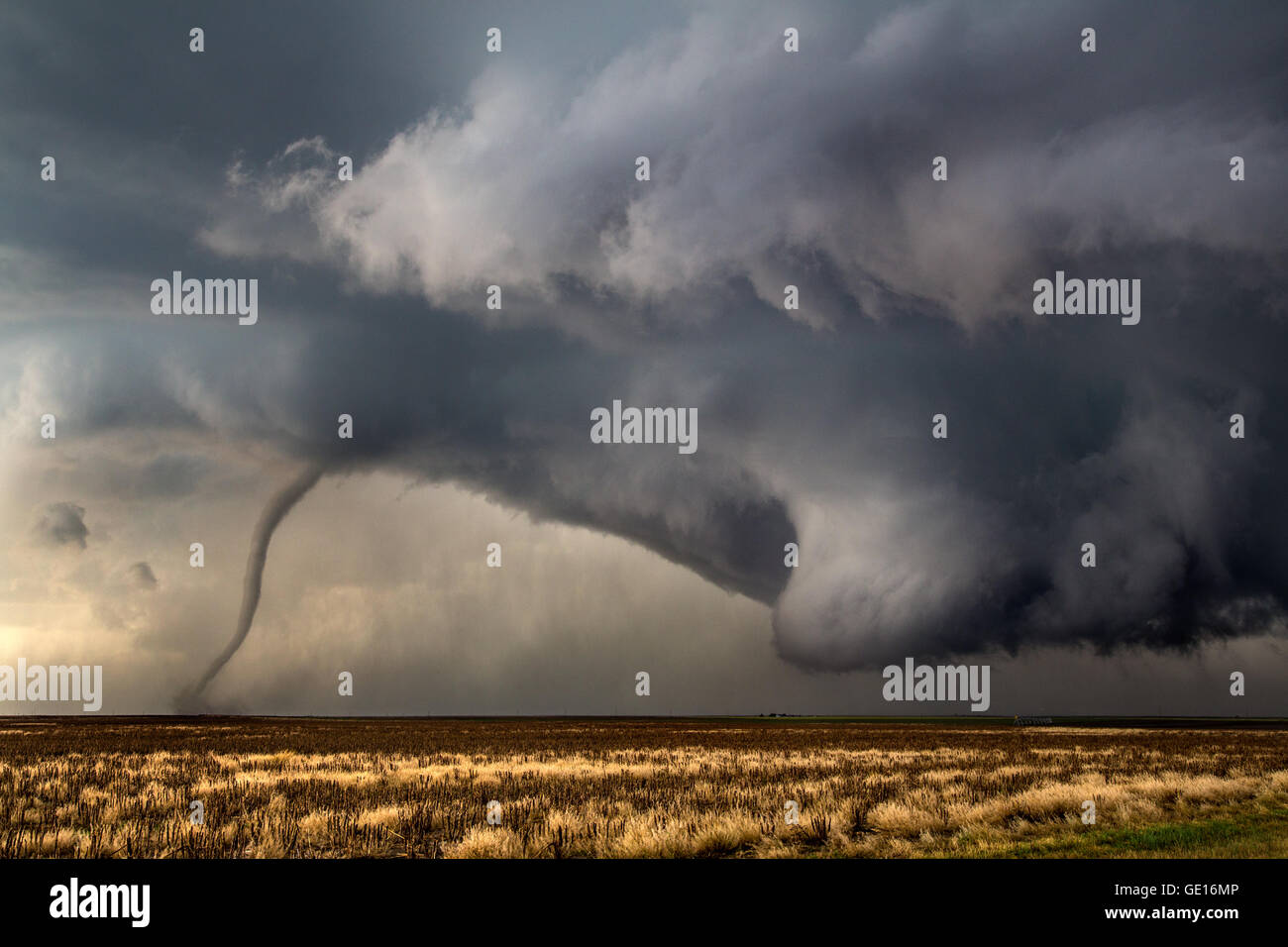 Un tornado desciende de un supercell cerca de Dodge City, Kansas, 24 de mayo de 2016. Este fue uno de los 15 tornados tornados esta tormenta producida. Foto de stock