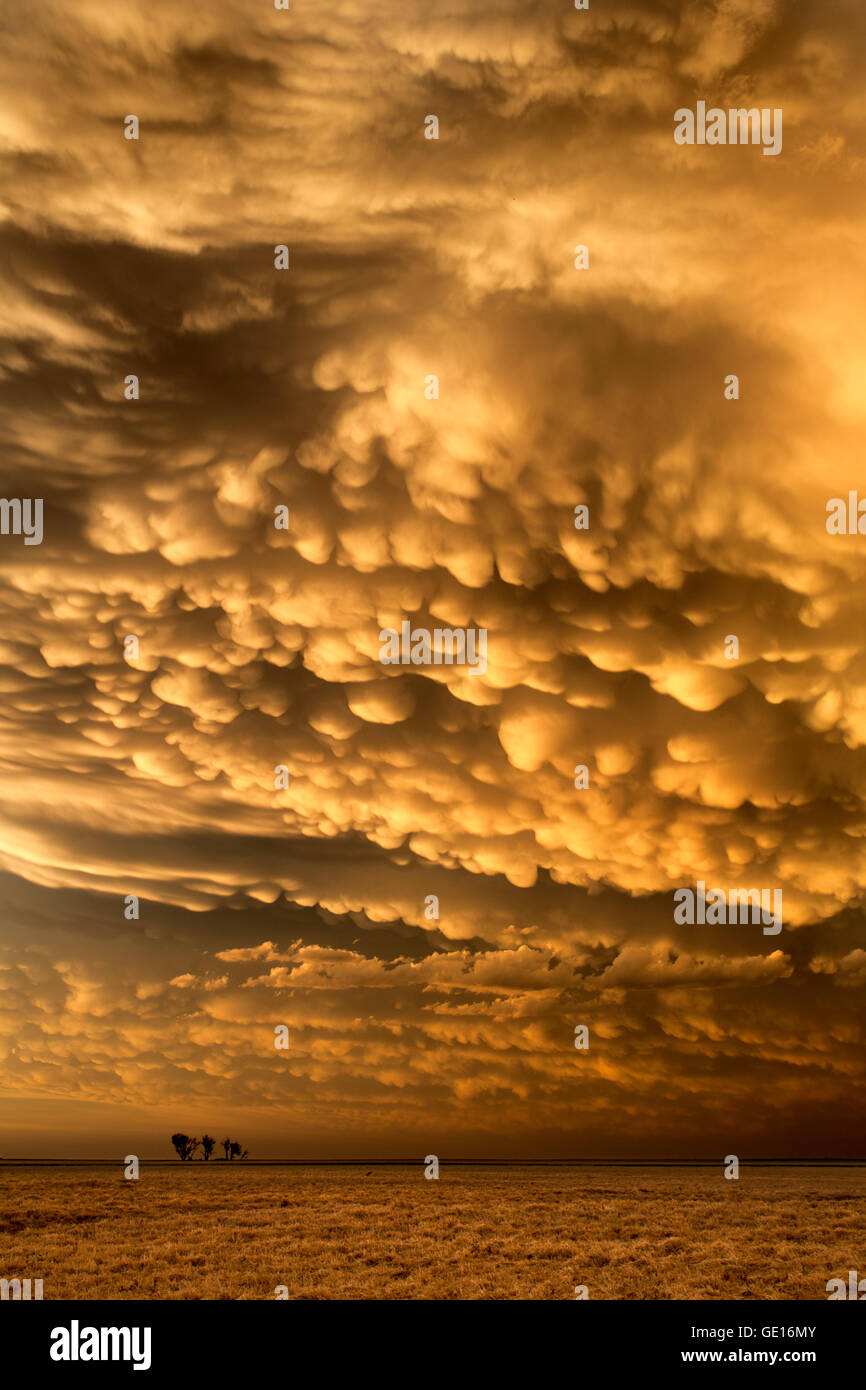 Mammatus las nubes al atardecer cerca de Dodge City, KS después de una tormenta que produjo 15 Tornados. Foto de stock