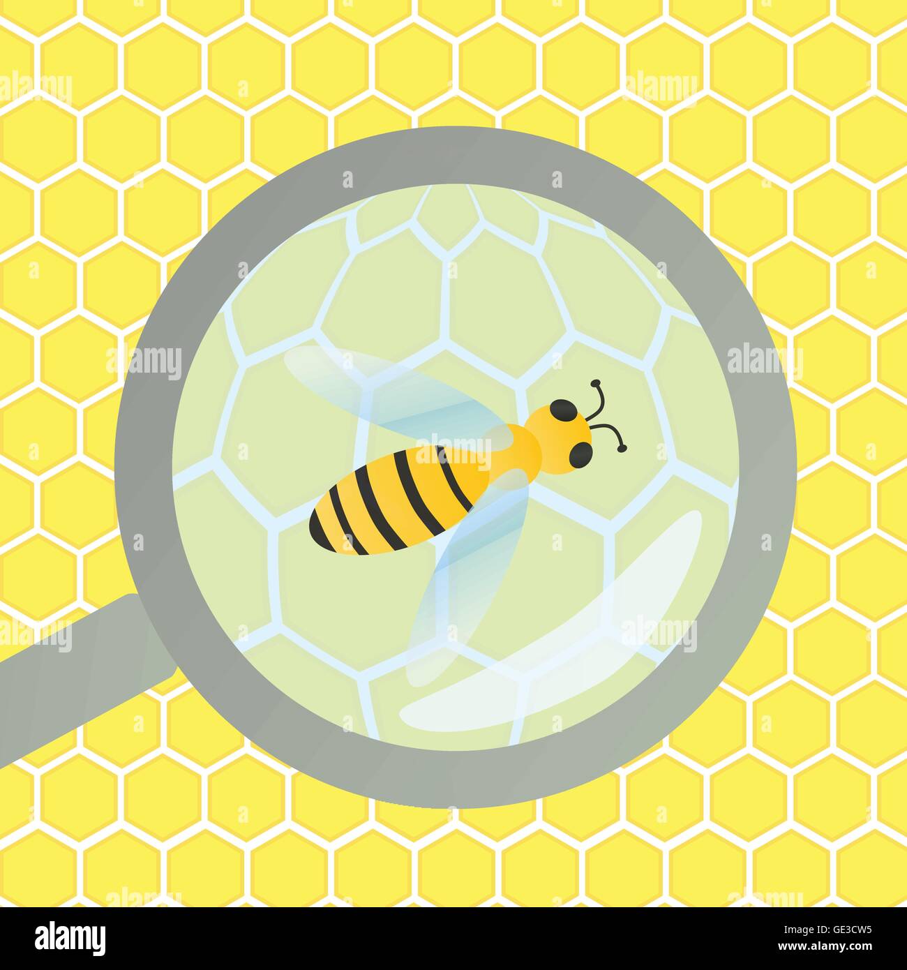 Colmena de abejas y cera de panal bajo la lupa de inspección de vidrio  ilustración vectorial de fondo Imagen Vector de stock - Alamy