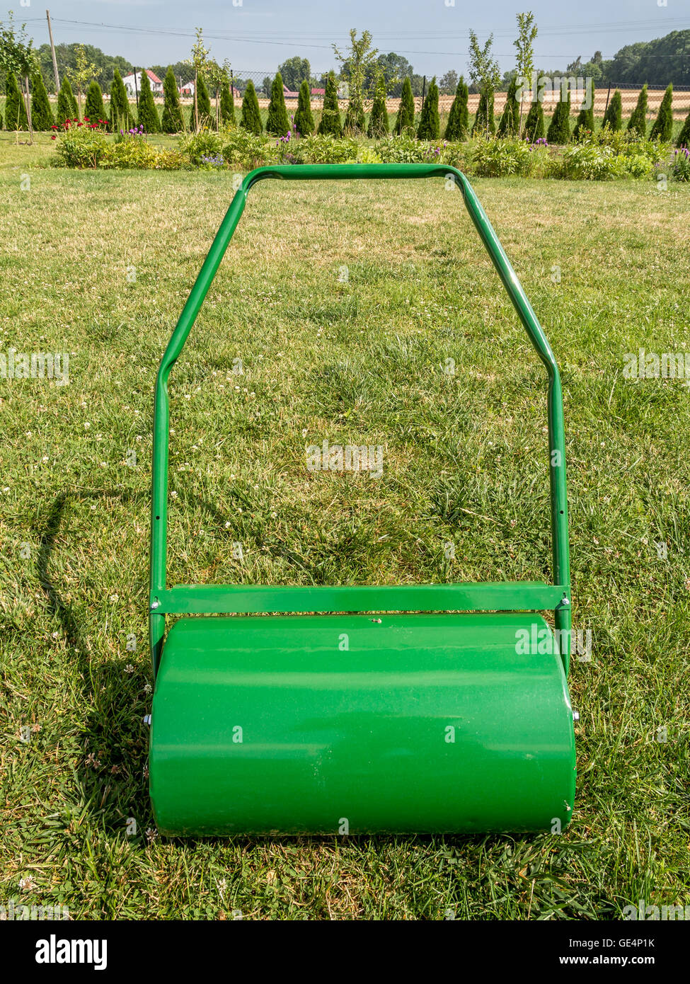 Rodillo de césped verde listo para rodar el jardín de césped Foto de stock