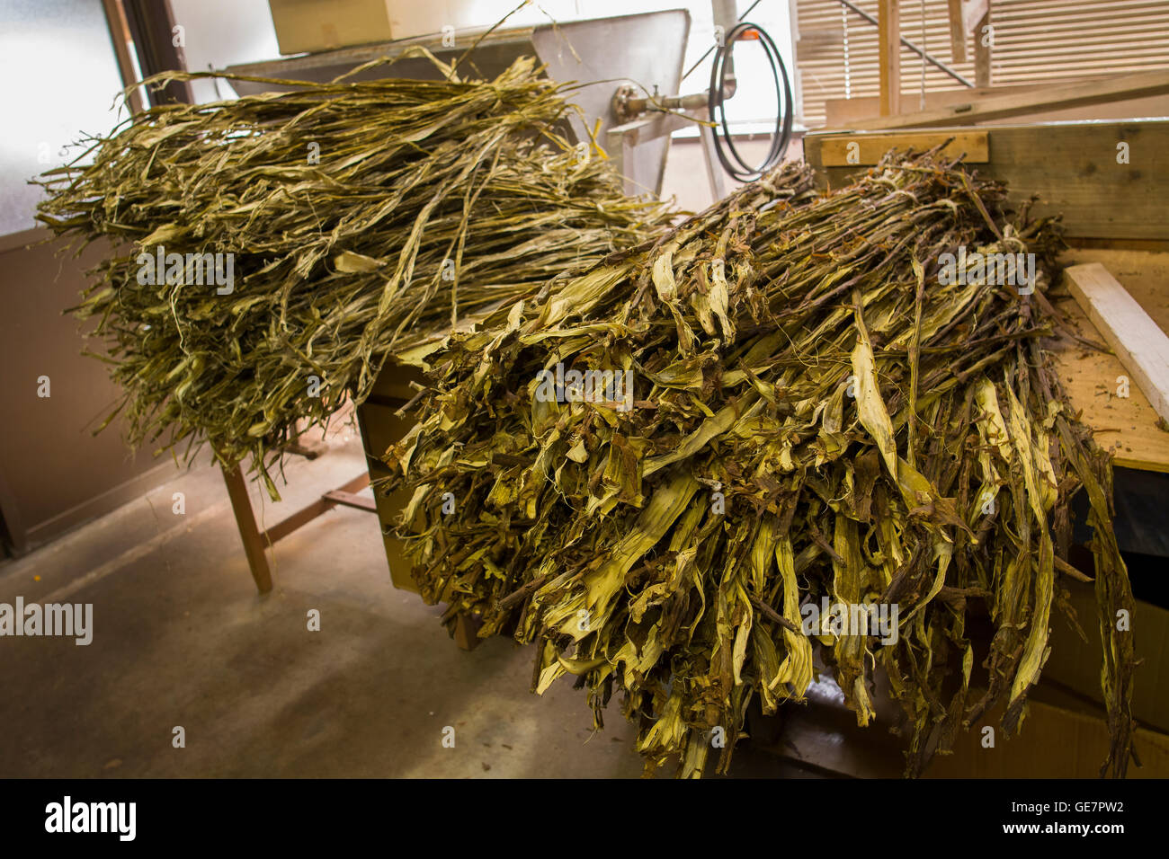 El papermaking fábrica de Gokayama, Japón donde el papel llamado Gokayama papel washi está constituido por una mezcla de árboles de morera Foto de stock