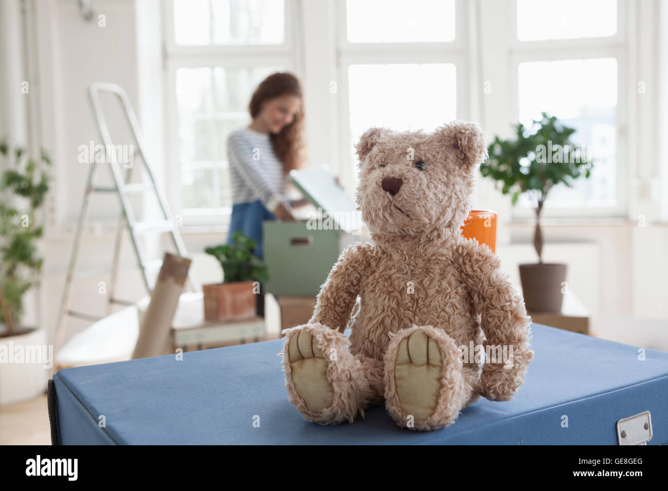 Teddy en caja de cartón con mujer en segundo plano. Foto de stock