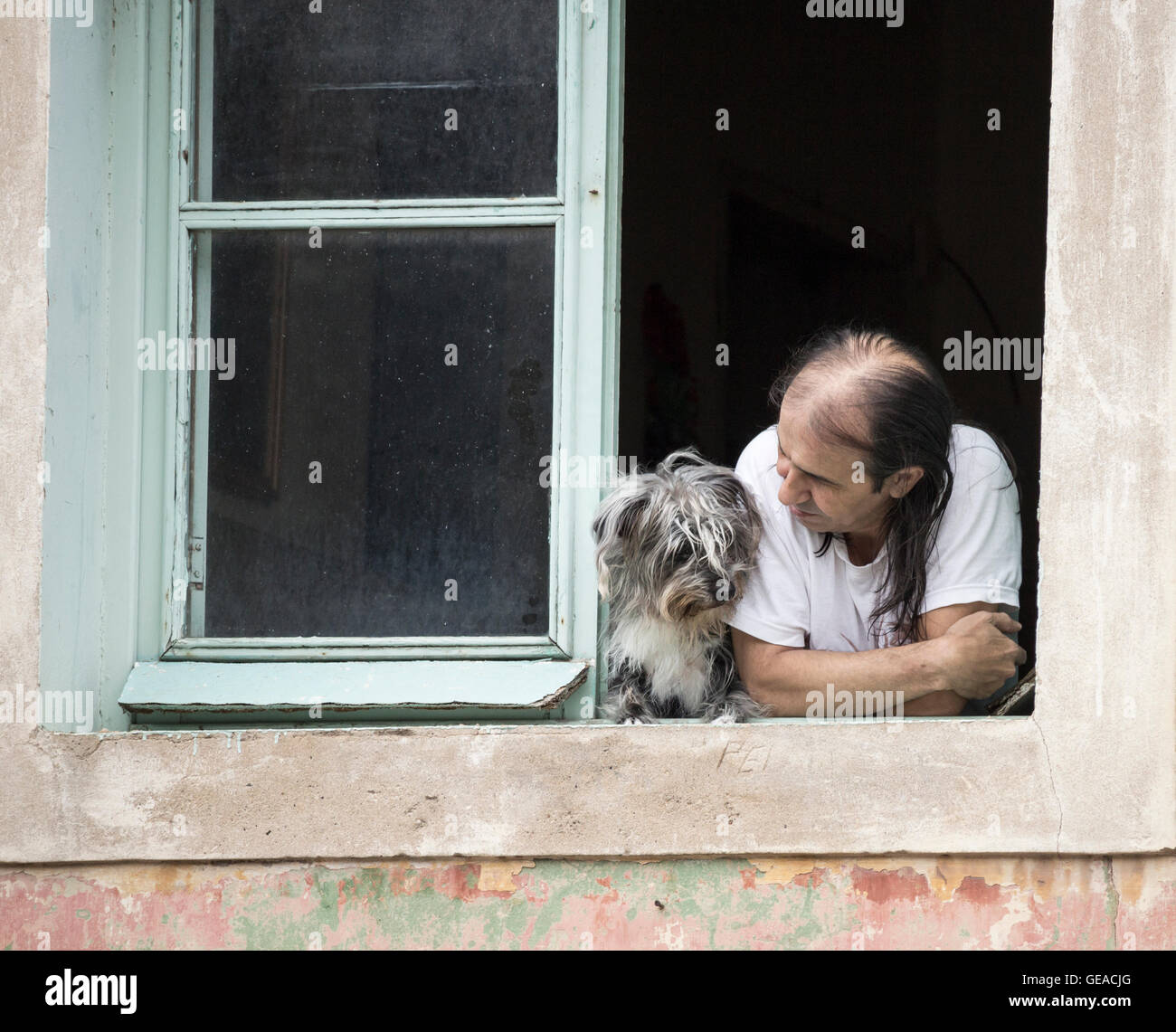 Hombre y perro mirando por la ventana en España. Auto aislamiento, cuarentena, coronavirus, concepto, Foto de stock