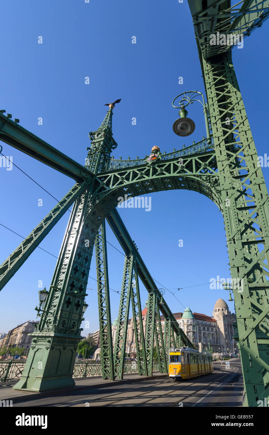 Budapest: la libertad ( Puente Szabadsag escondió ) en el Danubio con vistas a El Hotel Gellert, de Hungría, Budapest. Foto de stock